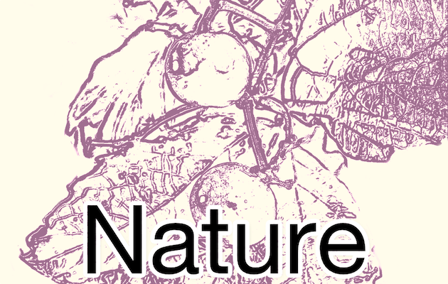 Plants & Nature